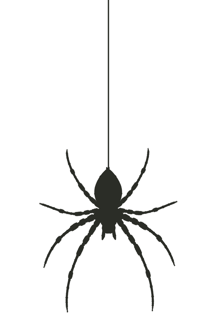 spider